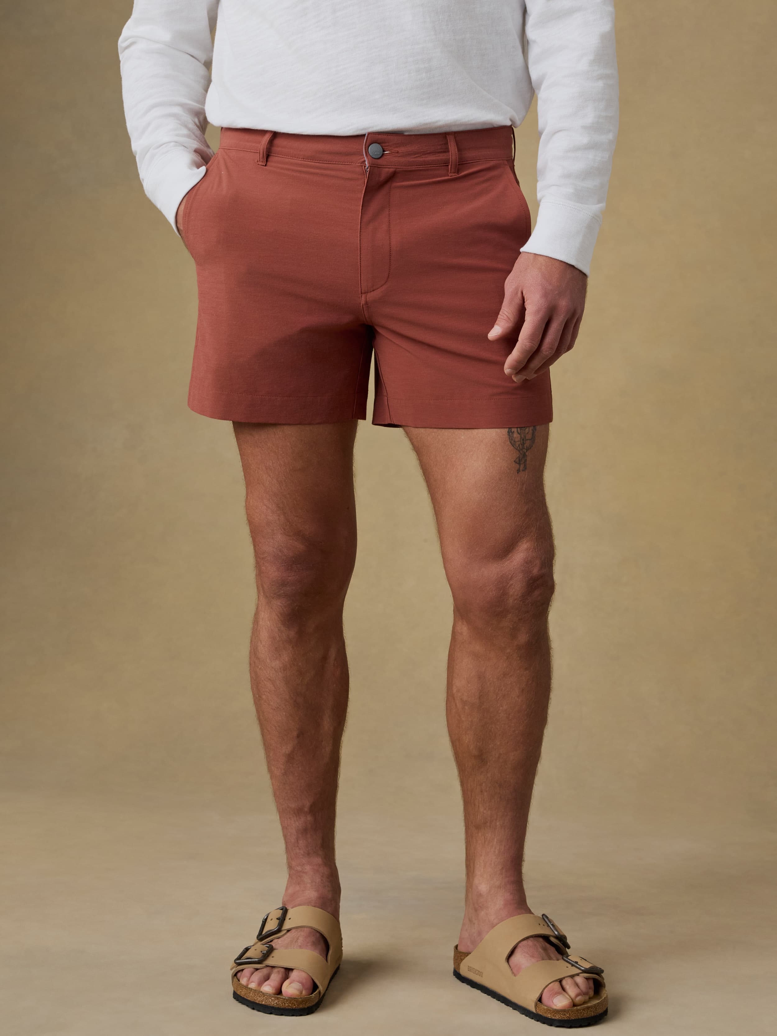 All Dayâ„?Short (5") - Redwood